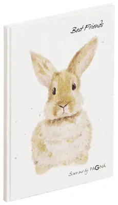 Produktbild von Pagna Freundebuch Hase 60S 4009212063465