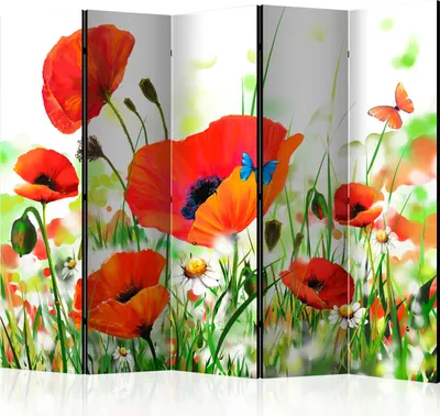 Produktbild von 5-teiliger Einseitiger Vlies Paravent - Country poppies II 225x172 cm Blumen b-C-0438-z-c