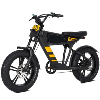 Produktbild von E-Bike Cityrad Damen Herren 20x4,0'' Citybike, 873WH Pedelec, 48V 250W, max.120km Kettenschaltung, Heckmotor, 873 Wh, MTB E Mountainbike Pedelec