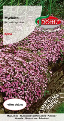 Produktbild von Samen von Rosa Rotem Seifenkraut 0.5g - Torseed