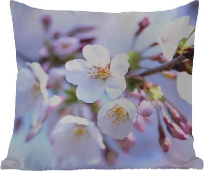 Produktbild von MuchoWow® Outdoor Kissen - Blumen - Sakura - Zweig - 40x40 cm - Wetterfest - Lounge Kissen - Kopfkissen - Interieur - Polster mit Bild
