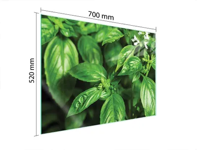 Obrázek produktu pro Skleněná Ochranná Deska Na Srdce 70X52 Basil
