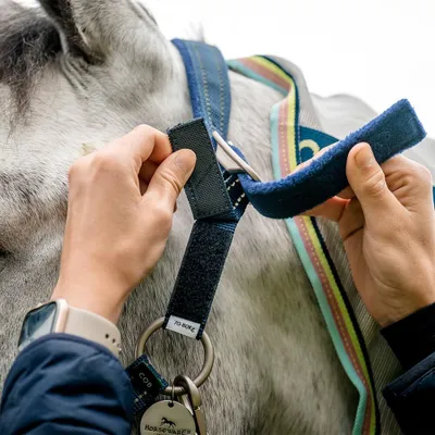 Produktbild von Horseware FieldSafe Headcollar, Größe:Warmblut, Farbe:Navy
