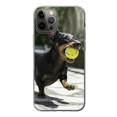 Produktbild von MuchoWow® Handyhülle Schutzhülle Hülle für iPhone 13 Pro Ein schwarzer Dachshund mit einem Tennisball Silikon Softcase Handy Hülle - Handy-Tasche
