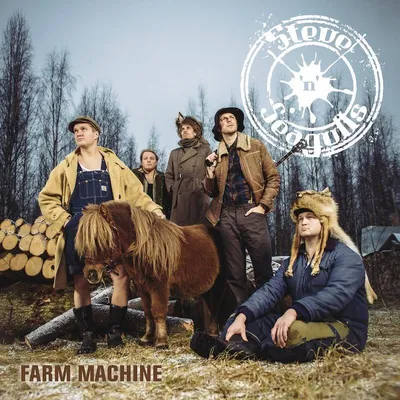 Obrázek produktu pro Steve 'n' Seagulls: (CD / Název: Q-Z)