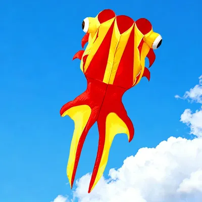 Goldfisch-Drachen 1,3x2,75 m, rot, 2x20 m Schwänze, 100 m Leine
