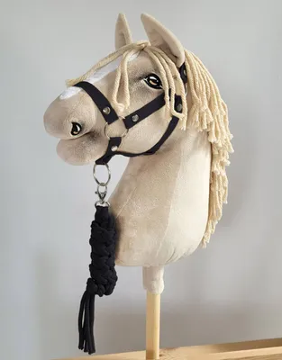 Obrázok produktu pre Sada pre Hobby Horse: vážik A3 + reťazová povaha - čierna