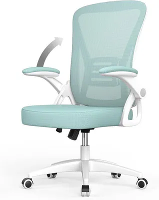Image de Chaise de bureau X24F00K228, pivotante à 360°, verte