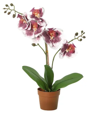 Obrázok produktu pre Umelá orchidea Phalaenopsis, fialovo-biela, 41 cm, umelá kvitnúca orchidea do izby, kancelárie a kúpeľne, dekorácia do interiéru, ktorá nevyžaduje žiadnu starostlivosť