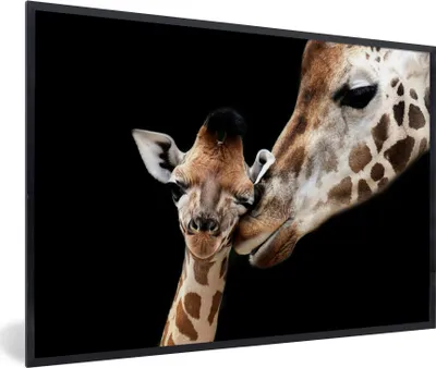 Produktbild von MuchoWow® Gerahmtes Poster Giraffe - Tiere - Schwarz - Porträt - Tiere 90x60 cm - Poster mit Schwarzem Bilderrahmen Wandposter Rahmen Foto Bilder - Fotorahmen - Foto-Plakat