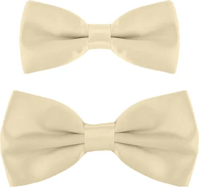 Produktbild von DonDon Vater-Sohn Fliegen Set im Partnerlook, bereits gebunden und verstellbar - Beige
