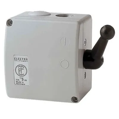 Image de Elektra Tailfingen Inverseur TWG 16 46439