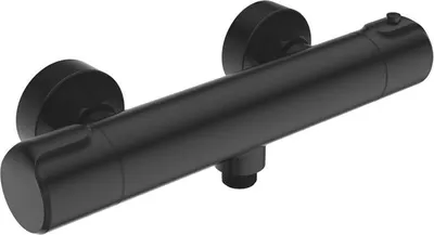 Image de Beitz & Walz AQVATHERM Mitigeur thermostatique de douche AP 1/2" rond noir