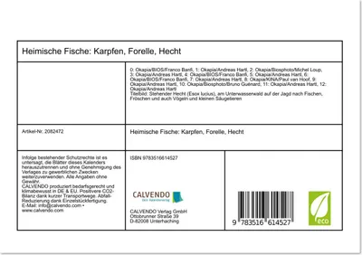 Produktbild von Heimische Fische: Karpfen, Forelle, Hecht (Tischkalender 2026 DIN A5 quer), CALVENDO Monatskalender