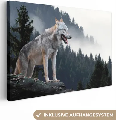 Produktbild von MuchoWow® - Leinwandbilder - Wolf - Tier - Wald, Wandbild, Wanddeko Bilder Wohnzimmer, 90x60cm