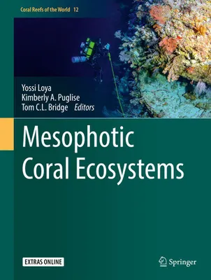 Produktbild von Mesophotic Coral Ecosystems