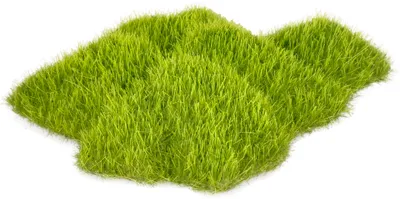 Produktbild von Anzeige kozma rock 9x6x2 cm für Aquarium