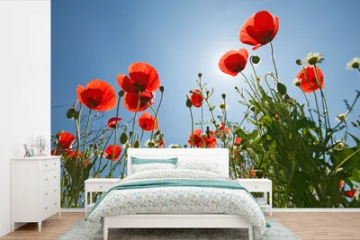 Produktbild von MuchoWow® Fototapete für Wohnzimmer oder Schlafzimmer Wandtapete Vinyl Motivtapete Strahlende Sonne über einigen Mohnblumen in Spanien - 390x260 cm - Papiertapete