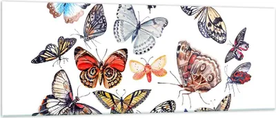 Produktbild von Bilder auf glas - Schmetterlinge Illustration Bunt Flügel - 140x50cm - Glasbilder - Wandbilder - Kunstdruck - Wanddekoration aus Glas - Glas Bilder - Wandbild auf Glas - GAB140x50-2916