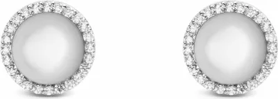 Zdjęcie produktu dla Kolczyki sztyfty Daniel Wellington Silver Collection - kobieta