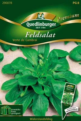 Produktbild von Quedlinburger Feldsalat Verte de Cambrai - Premium Gemüsesamen
