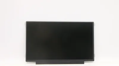 Immagine prodotto di Lenovo LCD 11.6" HDT AG (5D10Z77954)