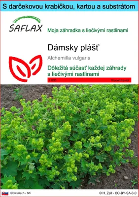 Obrázok produktu pre SAFLAX Darčeková sada - dámsky plášť - Alchemilla vulgaris - 100 Semená - S darčekovou krabičkou, prepravným štítkom, darčekovou kartou a pestovateľským médiom