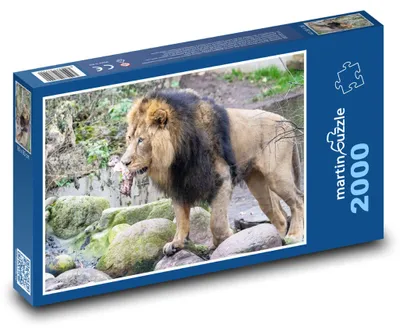 Obrázok produktu pre Puzzle 2000 Lev v divočine - martinpuzzle