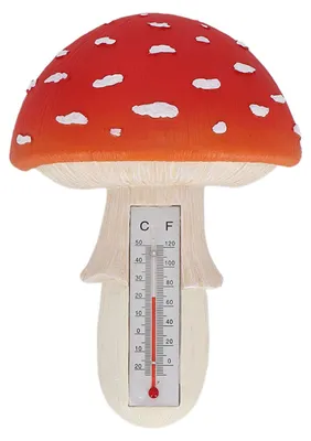 Zdjęcie produktu dla Esschert Design Thermometer muchomor sromotnikowy