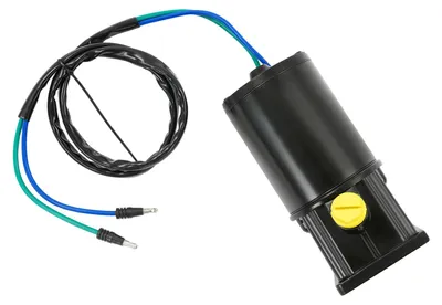 Zdjęcie produktu dla Silnik podnoszący i przechylający, 12 V, moc 240 W, czarny