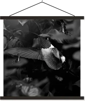 Produktbild von MuchoWow® Textilposter Goldener Kolibri umgeben von Schmetterlingen - schwarz und weiß 120x120 cm mit schwarzem Rahmen - Aufhängungsset