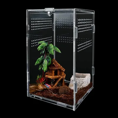 Produktbild von Acryl Terrarium, universelle Aufzuchtbox, 12 x 12 x 20 cm, für Reptilien und Amphibien