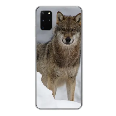 Produktbild von MuchoWow® Handyhülle Schutzhülle Hülle für Samsung Galaxy S20 Plus Wolf - Schnee - Tiere Silikon Softcase Handy Hülle - Hartschale