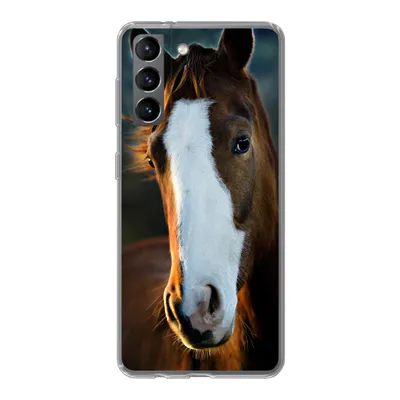 Produktbild von MuchoWow® Handyhülle Schutzhülle Hülle für Samsung Galaxy S21 Pferd - Kopf - Licht Silikon Softcase Handy Hülle - Softcase