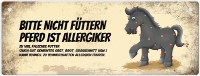 Produktbild von Metallschild mit schwarzem Pferd Motiv und Spruch: Bitte nicht füttern -
