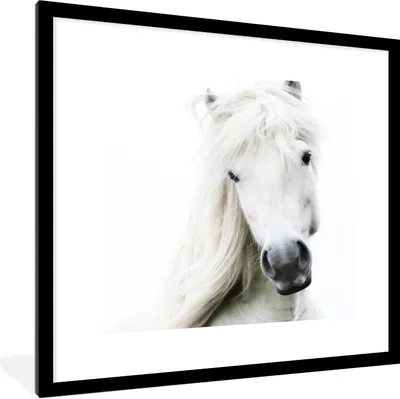 Produktbild von MuchoWow® Gerahmtes Poster Pferde - Nutztiere - Mähnen 40x40 cm - Poster mit Schwarzem Bilderrahmen Wandposter Rahmen Foto Bilder - Poster - Plakat im Rahmen