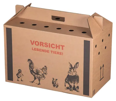 Produktbild von 10x Transportkarton für Kleintiere 580x310x370mm mit Tragegriff Luftlöchern und Automatikboden - Größe L