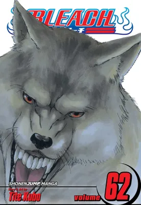 Produktbild von Bleach, Vol. 62