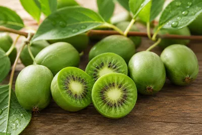 Produktbild von SaatPilot Actinidia arguta 100 Samen Kiwibeere, KI-generiertes Bild
