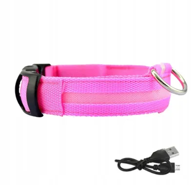 Obrázek produktu pro Psí obojek LED vodotěsný USB kabel RED XL 52-60cm