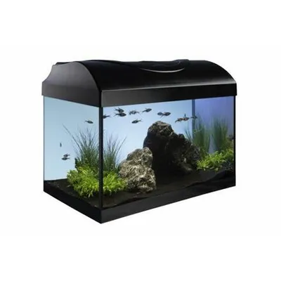 Immagine prodotto di Set completo Nano Aquarium Startup 40 nero 40x25x25cm rettangolare / 25 L per principianti