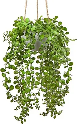 Produktbild von OAIRSE 35,5 cm Künstliche Pflanzen Sukkulente Hangsucculent Dekoration Blumen Wand Innen im Freien im Freien