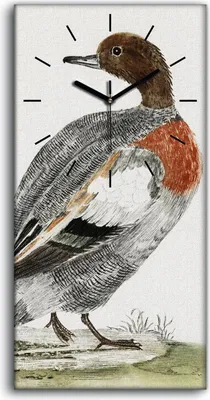 Produktbild von Wandbild Leinwand Bilder mit Uhr 30x60 Zeichnung Tier Vogel Ente Kunst - schwarze Hände