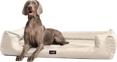 Produktbild von tierlando® Orthopädisches Hundebett GOOFY >> inkl. Matratzenschoner << Polyester - Größe: 90x75cm | Farbe: 05 Creme