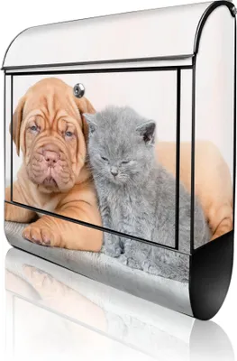 Produktbild von banjado Design Briefkasten Stahl schwarz mit Zeitungsfach pulverbeschichtet "Hund und Katze" 38x46x12,5cm & 2 Schlüssel - Postkasten A4 Einwurf inkl. Montagematerial [BKSCH 12031]