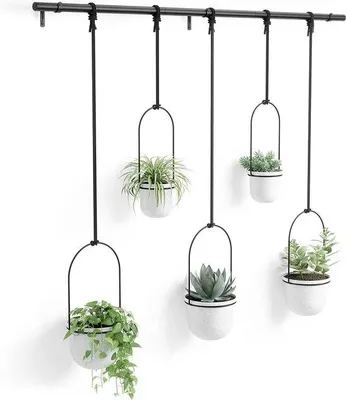 Image de Jardinières suspendues - Pour succulentes et herbes aromatiques - Set de 5 - Blanc
