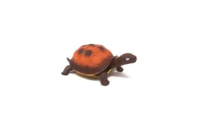 Produktbild von Stretch Schildkröte braun/orange