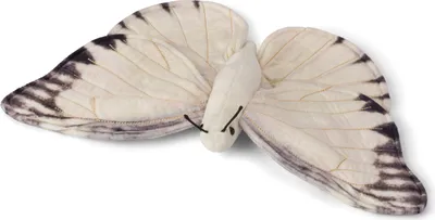 Produktbild von WWF - Plüschtier - Schmetterling (20cm) lebensecht Kuscheltier Stofftier Plüschfigur