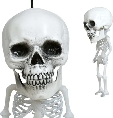 Productafbeelding van Halloween skelet, hangfiguur, schedel, decoratie, griezelpartij, grappig, grote kopvorm, enge spookachtige sfeer, griezelige stemming, horroratmosfeer, hangdecoratie