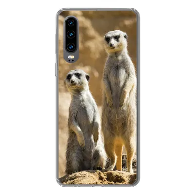 Produktbild von MuchoWow® Handyhülle Schutzhülle Hülle für Huawei P30 Felsen - Erdmännchen - Tiere Silikon Softcase Handy Hülle - Kartenbesitzer
